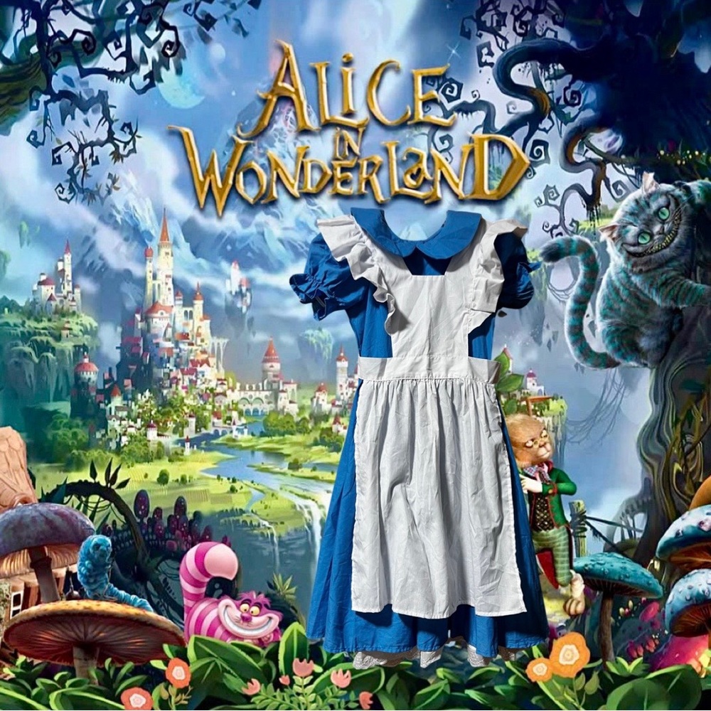 Alice in Wonderland Costume Size Child Medium.